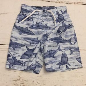 Old Navy Swim Trunks